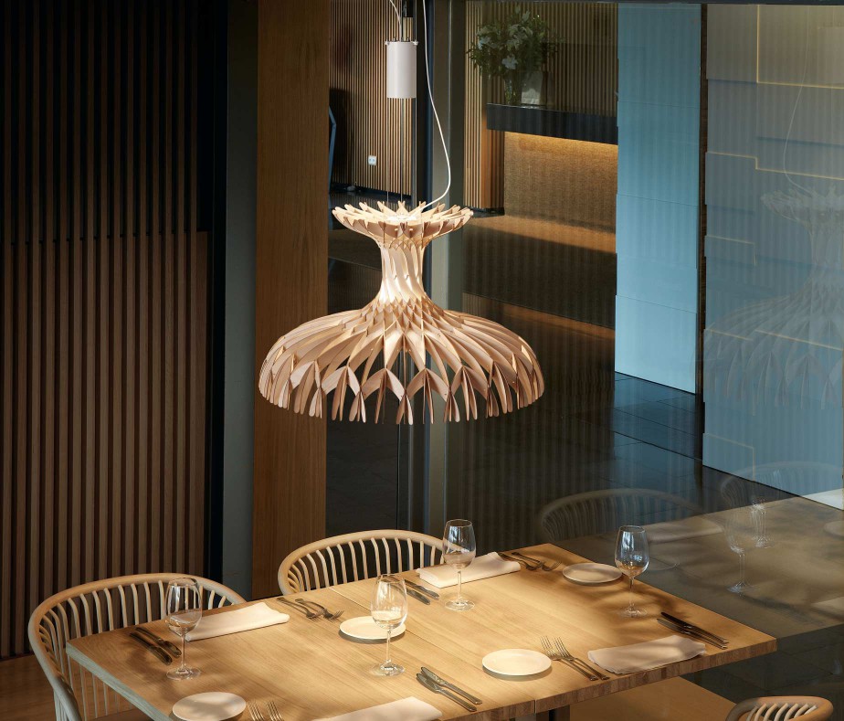 Pendant Dome60  02吊灯