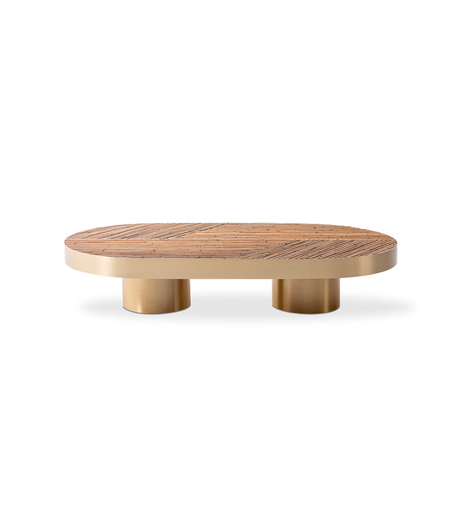 Astuccio Canes coffee table茶几